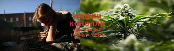 прущие крисы Сосновка